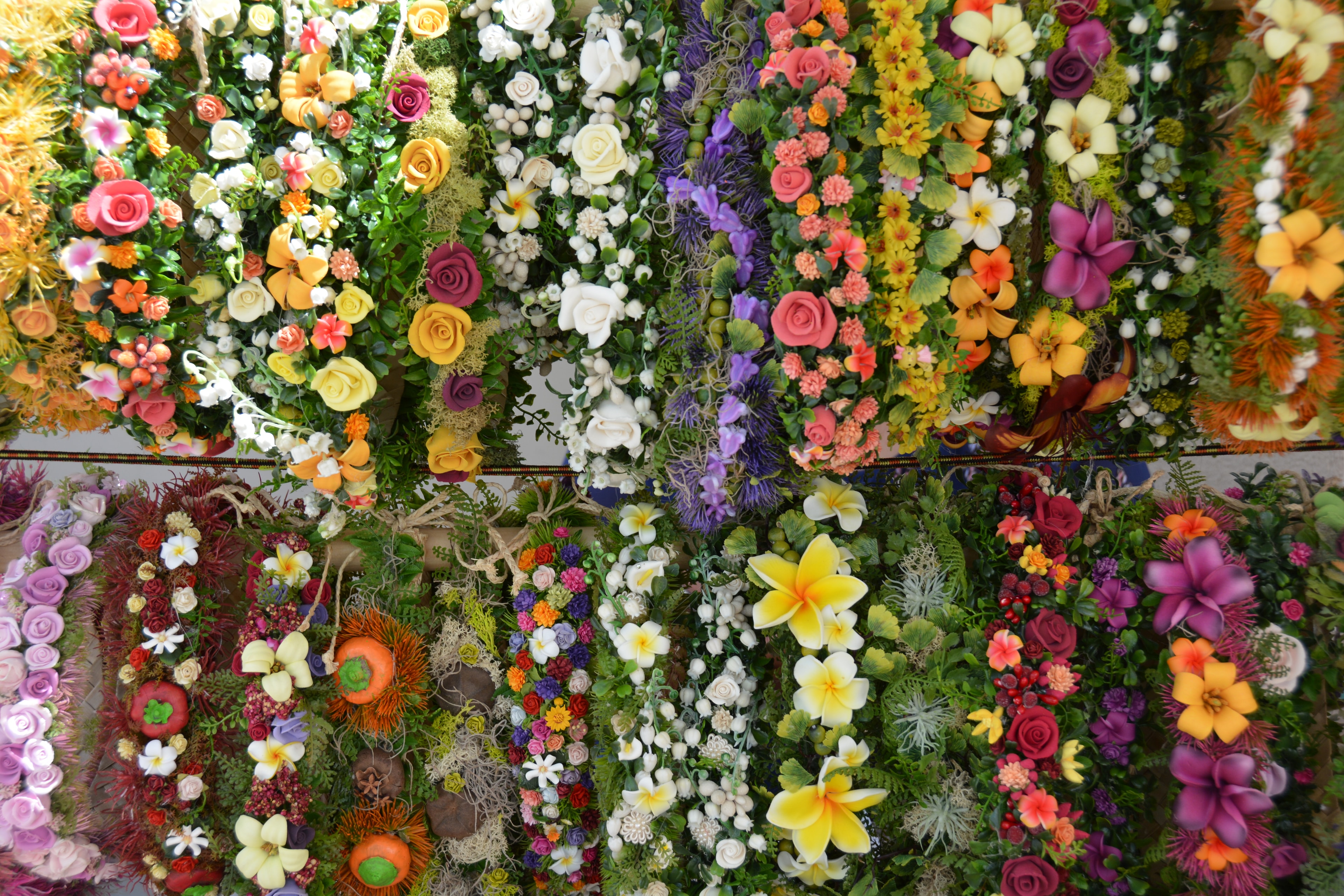 Colorful flower wall vertical garden display