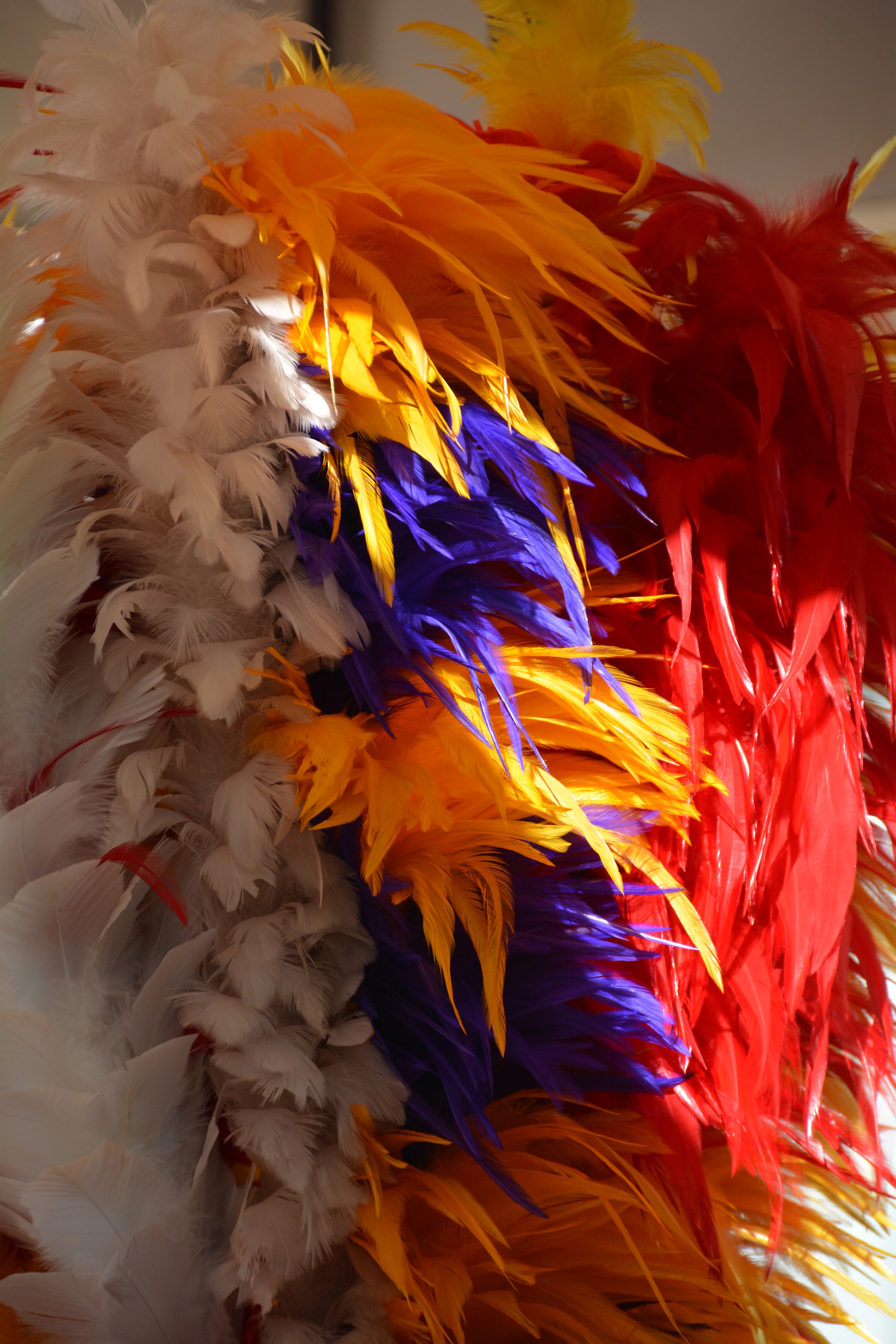 Close-up of vibrant feathered kahili staffs in white orange purple and red at Prince Kūhiō Day ceremony