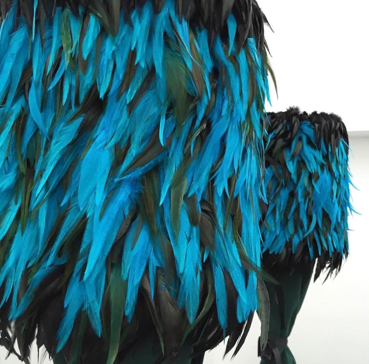 Bright blue feathers layered texture detail