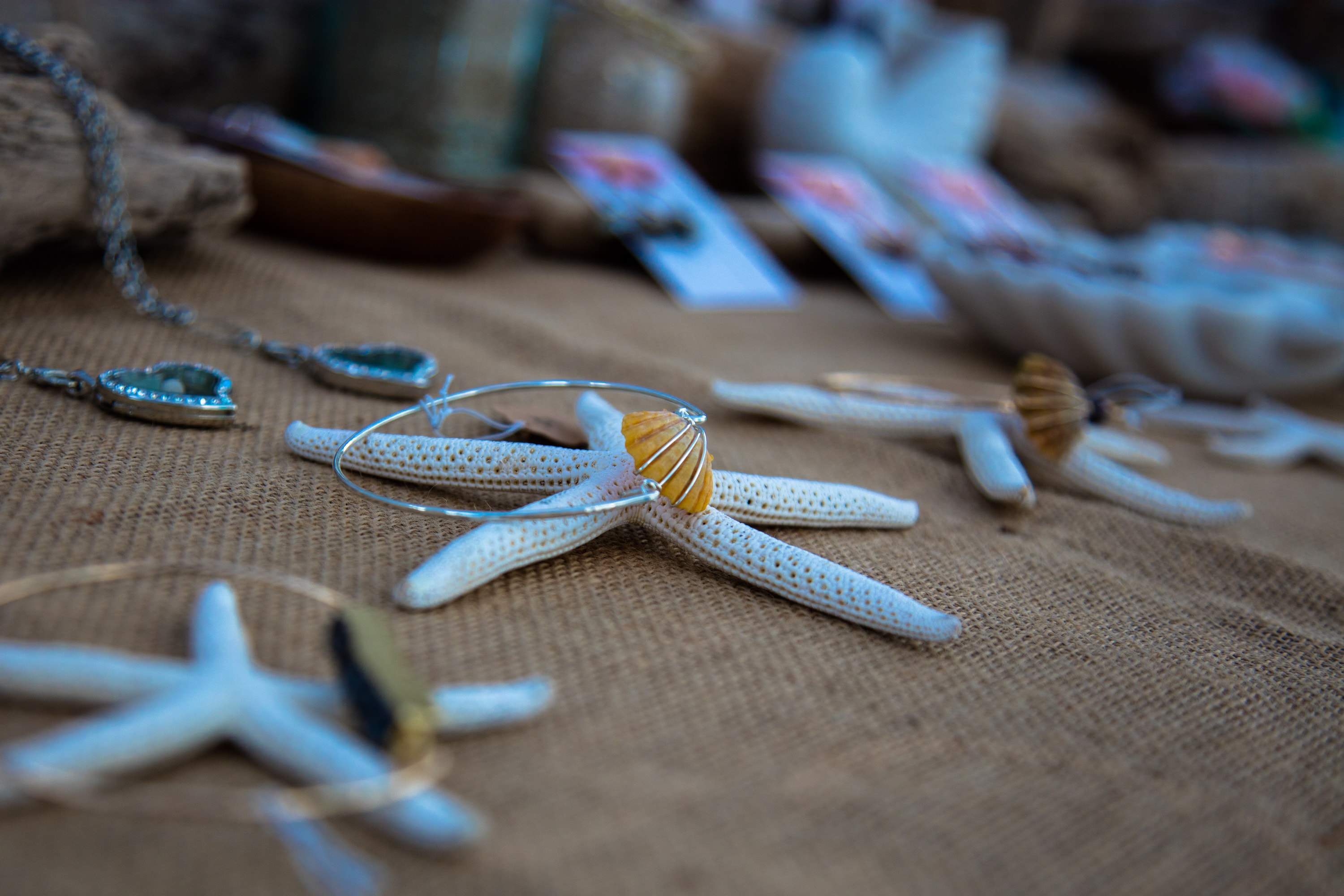 Starfish and shells on sandy beach